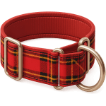 ¿Qué compras para ponerle al cuello de tu perro?